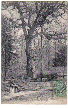 Le Chêne, près du Pavé des Gardes, fut longtemps un arbre remarquable du bois de Meudon, comme le chêne de la Verge à Viroflay. Sa proximité d’une voie à grande circulation a eu raison de lui et il a été abattu. (coll. part.)